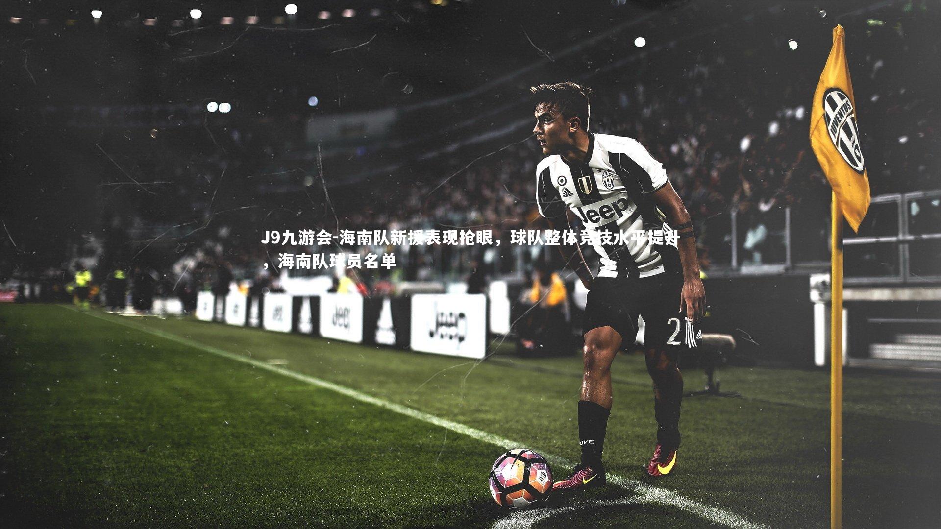 J9九游会-海南队新援表现抢眼，球队整体竞技水平提升，海南队球员名单